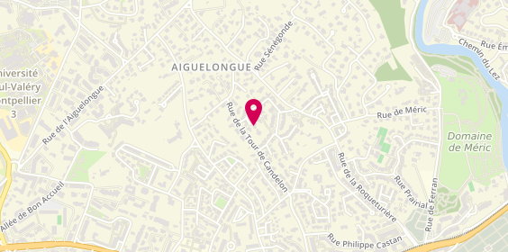 Plan de Luminitza Claudepierre Tigirlas, 29 place Auguste Rodin, 34090 Montpellier