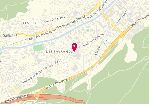 Plan de VRAI Morgane, 509 Route des Pelerins, 74400 Chamonix-Mont-Blanc