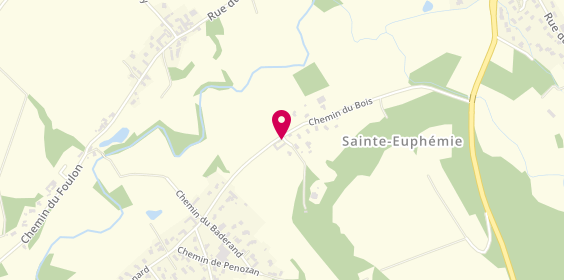 Plan de DUPERRAY‌‌ Carole, 695, chemin du Bois, 01600 Sainte-Euphémie