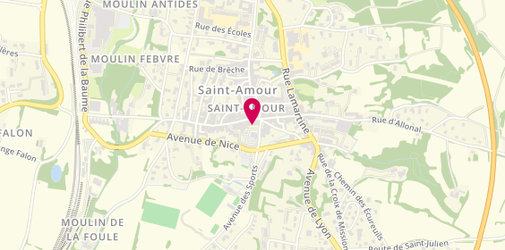 Plan de FION Séverine, 8 place de la Chevalerie, 39160 Saint-Amour