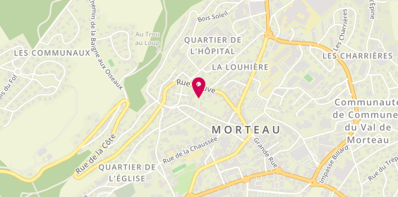 Plan de SAUZE Jean Philippe, 22 Rue Fauche, 25500 Morteau