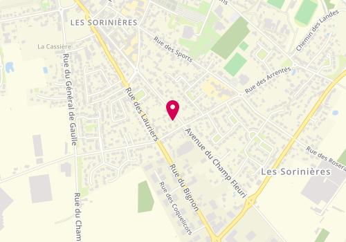Plan de Laetitia ROCHER - Psychologue Les Sorinières, 20 Rue du Champ Fleuri, 44840 Les Sorinières