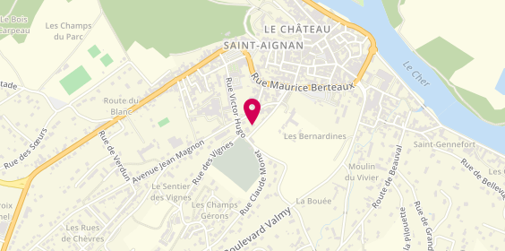 Plan de PETRESCU Angelica, 10 Rue de l'Égalité, 41110 Saint-Aignan
