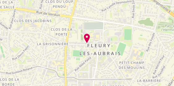 Plan de Myriam NAGELEISEN Psychologue, 6 Rue Louis Pasteur, 45400 Fleury-les-Aubrais
