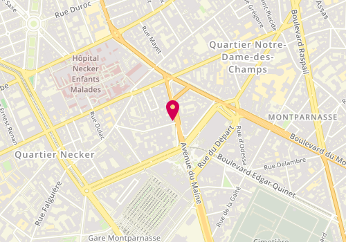 Plan de PICQUET Anne-Laure, 6 Rue Antoine Bourdelle, 75015 Paris